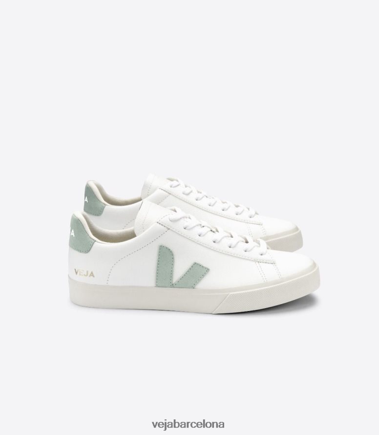 campo cuero sin cromo matcha blanco 6P688617Veja