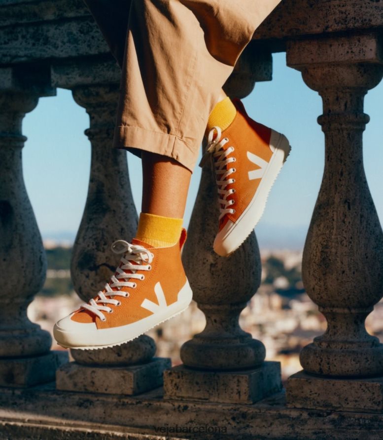 nova ht lienzo calabaza pierre 6P6886152Veja