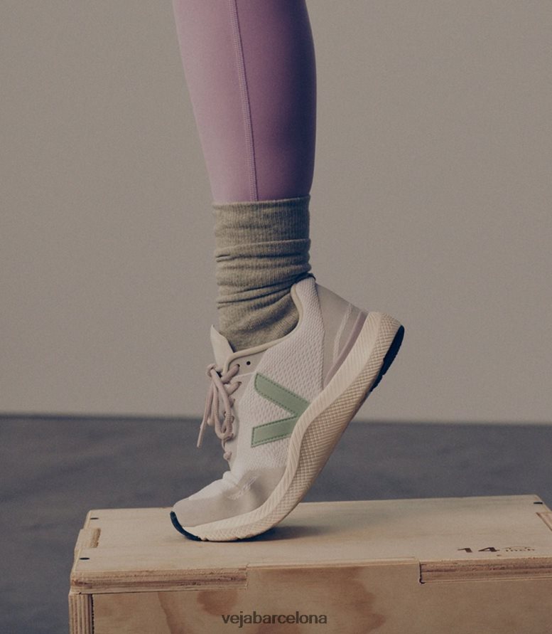 matcha de cáscara de huevo impala 6P6886284Veja