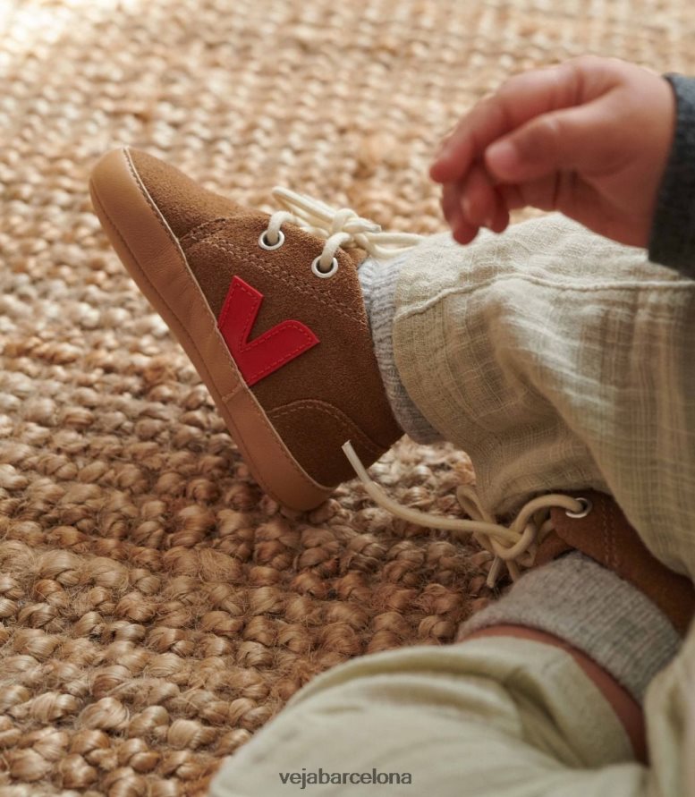 pekin ante bebe marron 6P6886406Veja